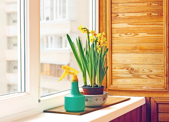 Тепло и свет на балконе — что еще нужно для счастливых растений!